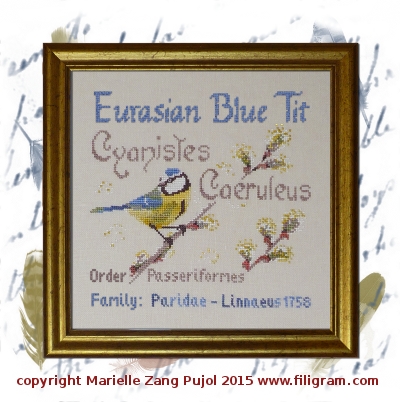 ref A103 - Eurasian Blue Tit