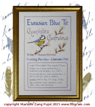 ref A104 - Eurasian Blue Tit - Ornithological Index Card
