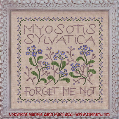 ref A148 - Myosotis Sylvatica